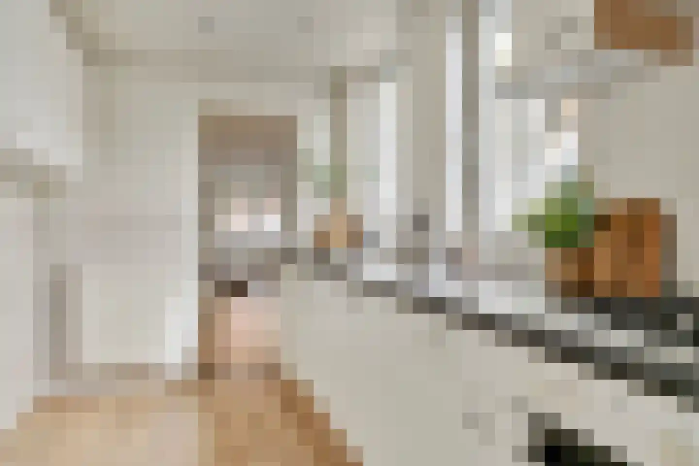 Nieuwstraat 132 Tilburg thumbnail 13