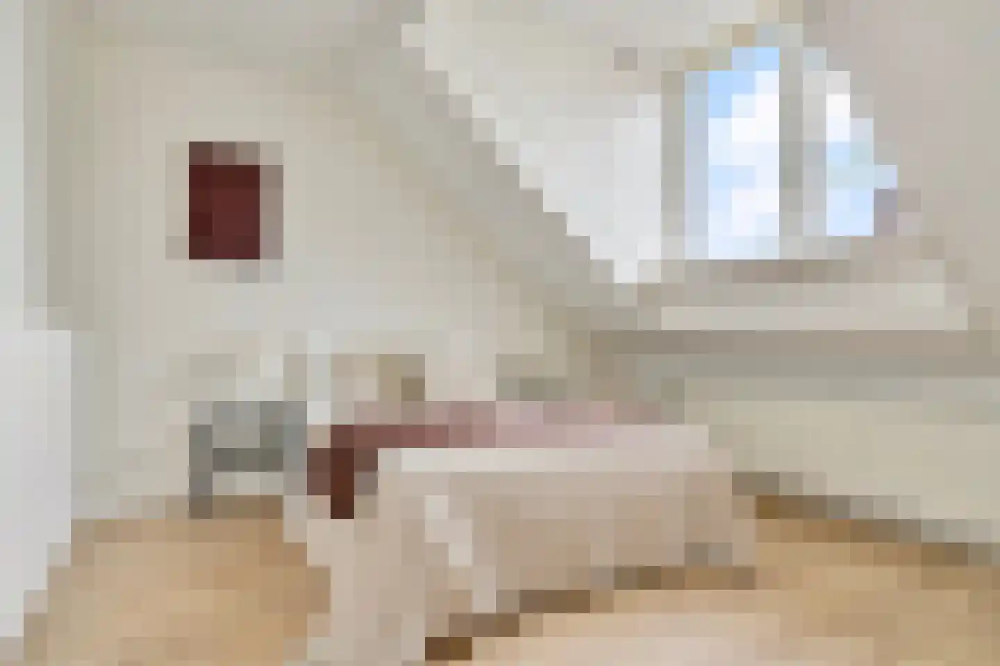 Nieuwstraat 132 Tilburg thumbnail 21