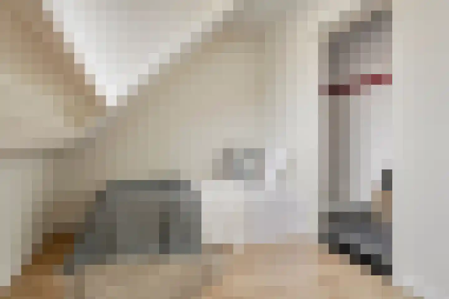 Nieuwstraat 132 Tilburg thumbnail 26