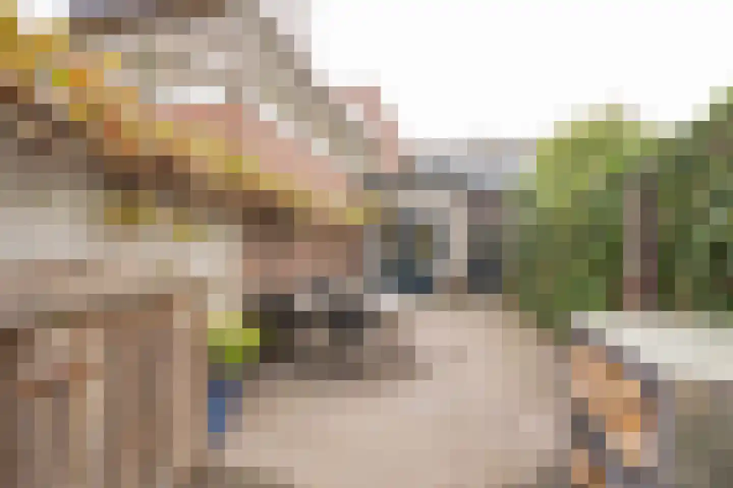 Nieuwstraat 133 De Bilt thumbnail 32