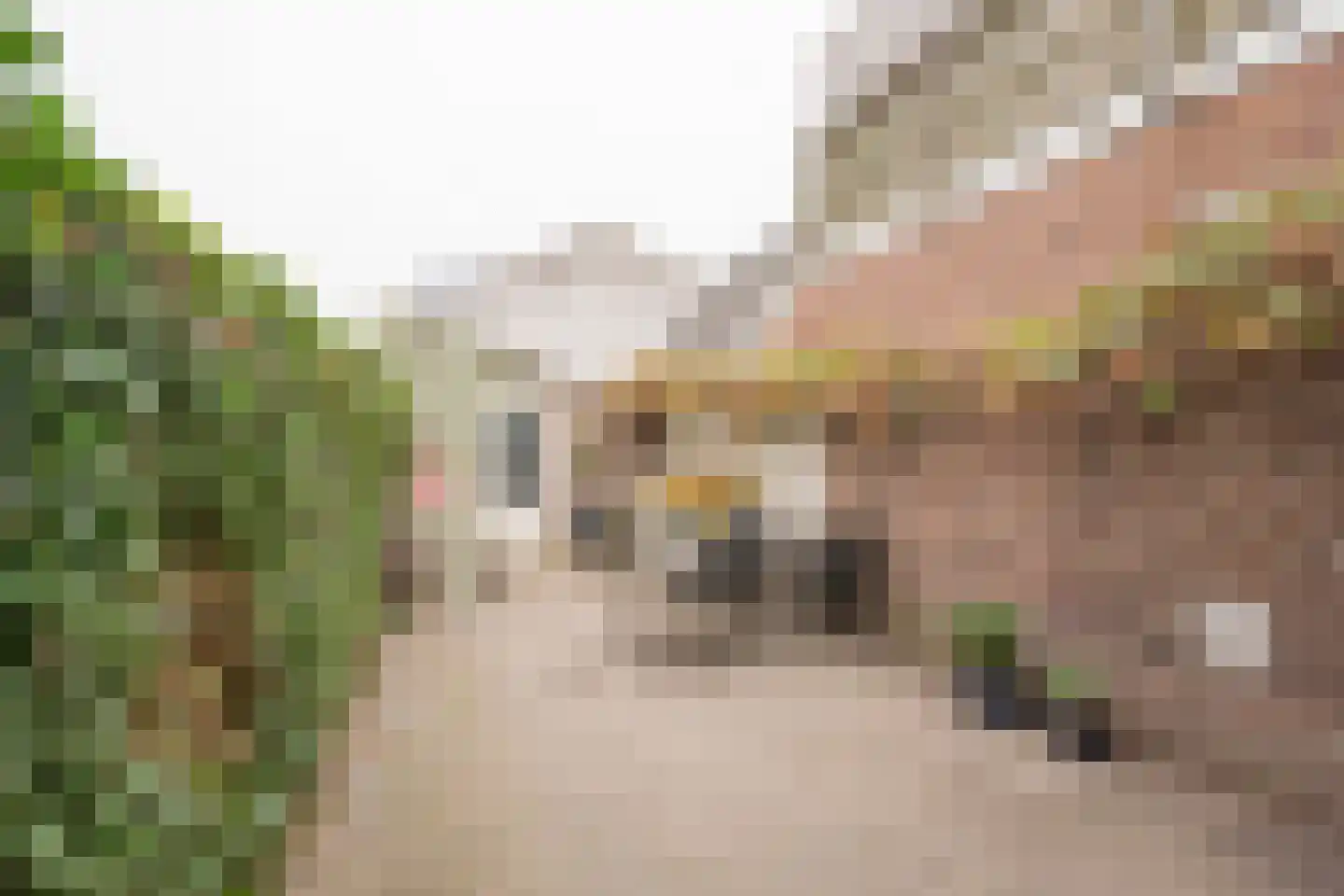 Nieuwstraat 133 De Bilt thumbnail 33