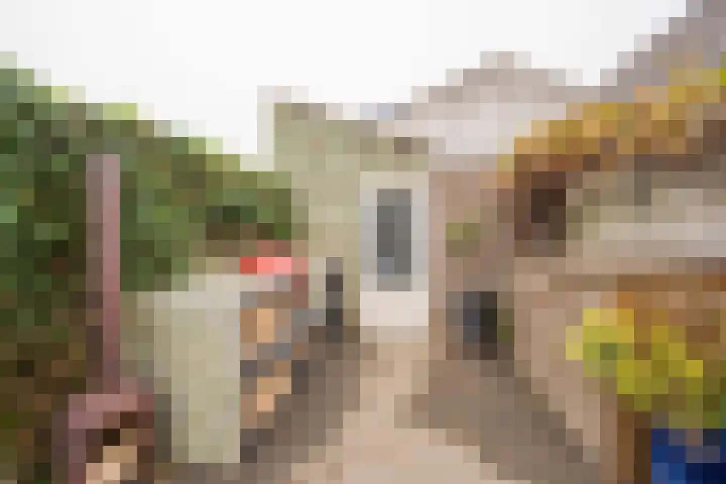 Nieuwstraat 133 De Bilt thumbnail 34