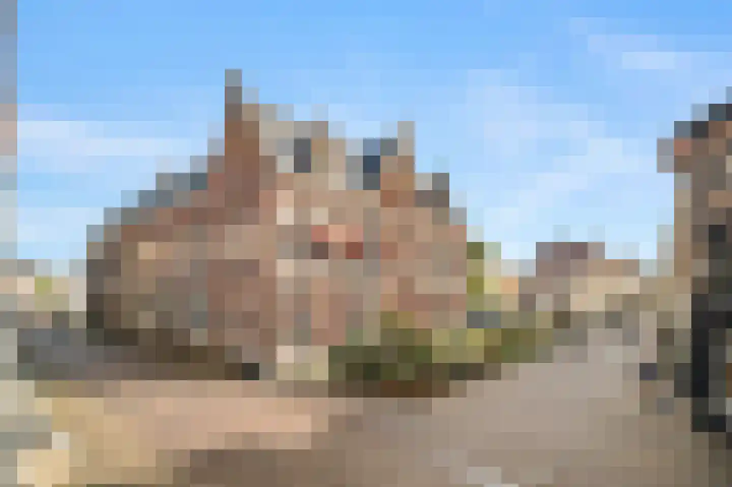 Nieuwstraat 136 Deventer thumbnail 32