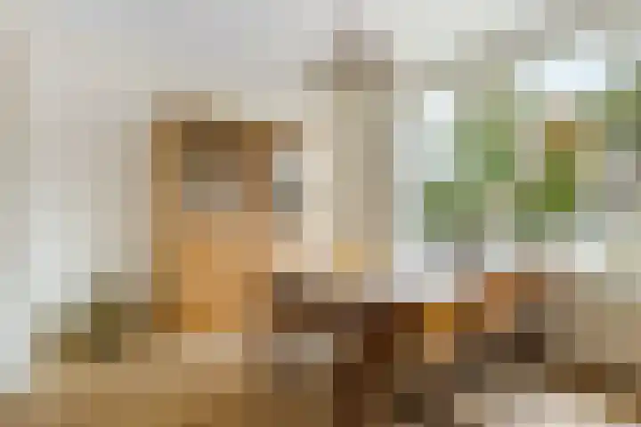 Nieuwstraat 136 Gilze thumbnail 9