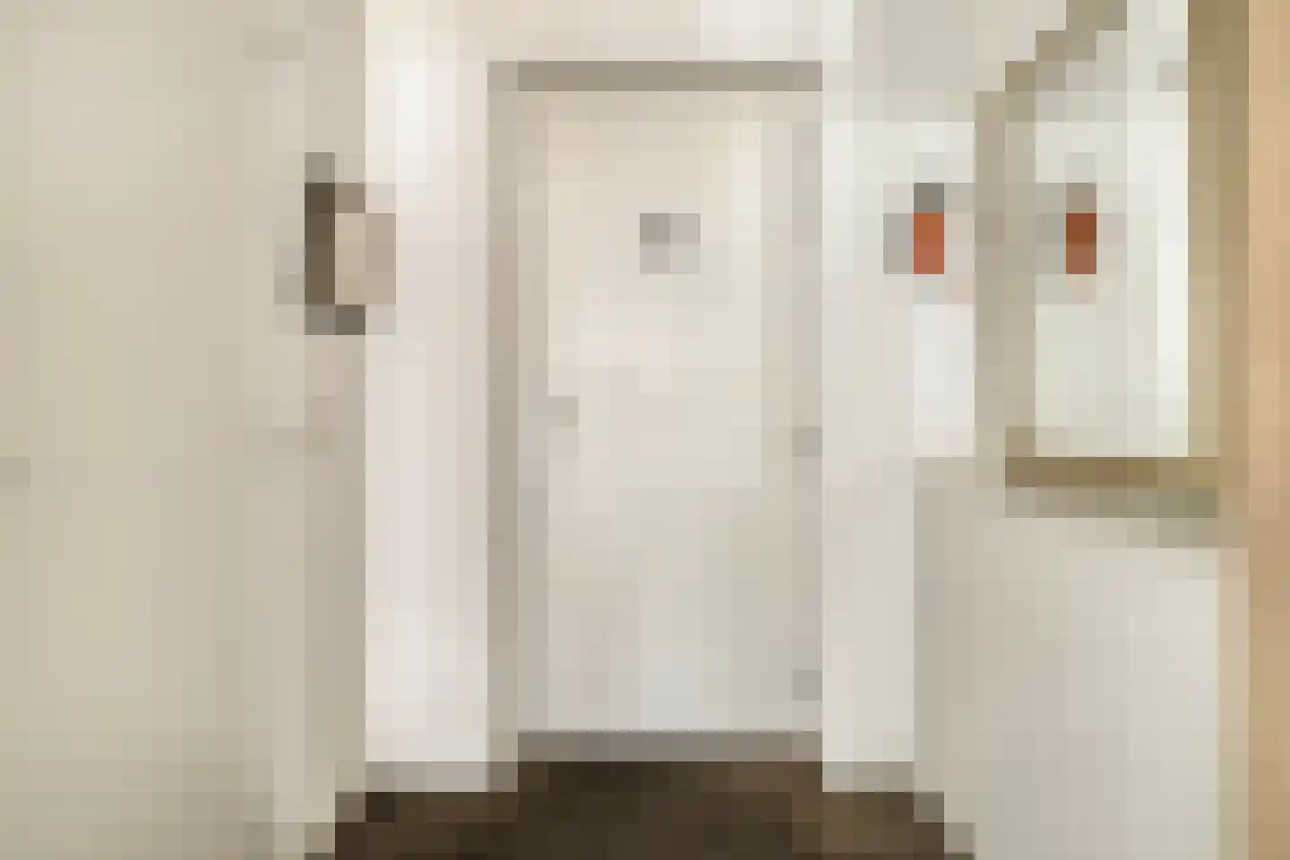 Nieuwstraat 14 01 Goes thumbnail 12