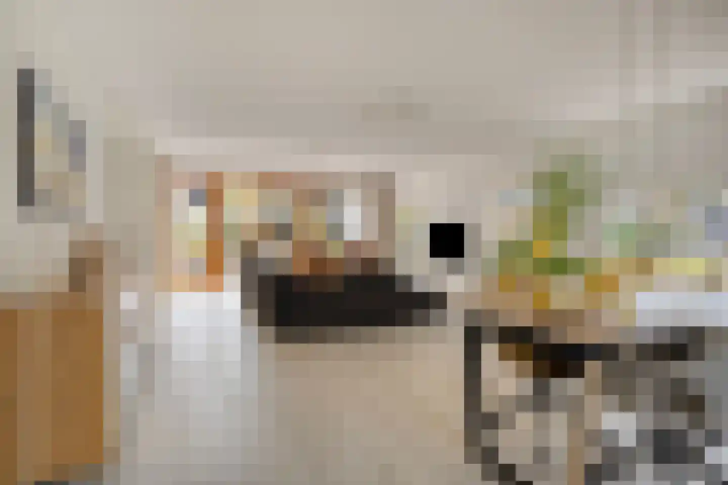 Nieuwstraat 14 01 Goes thumbnail 16