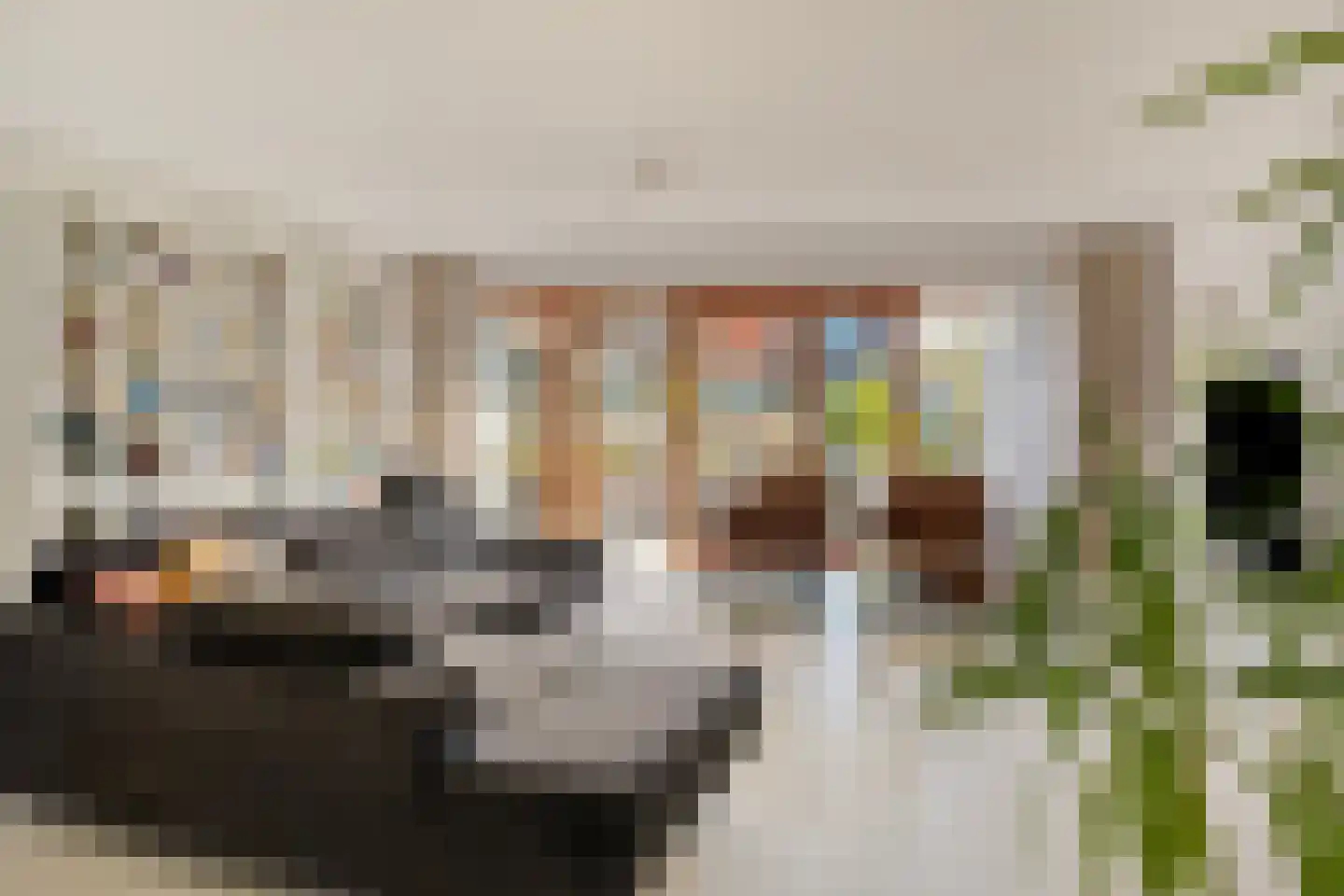 Nieuwstraat 14 01 Goes thumbnail 18