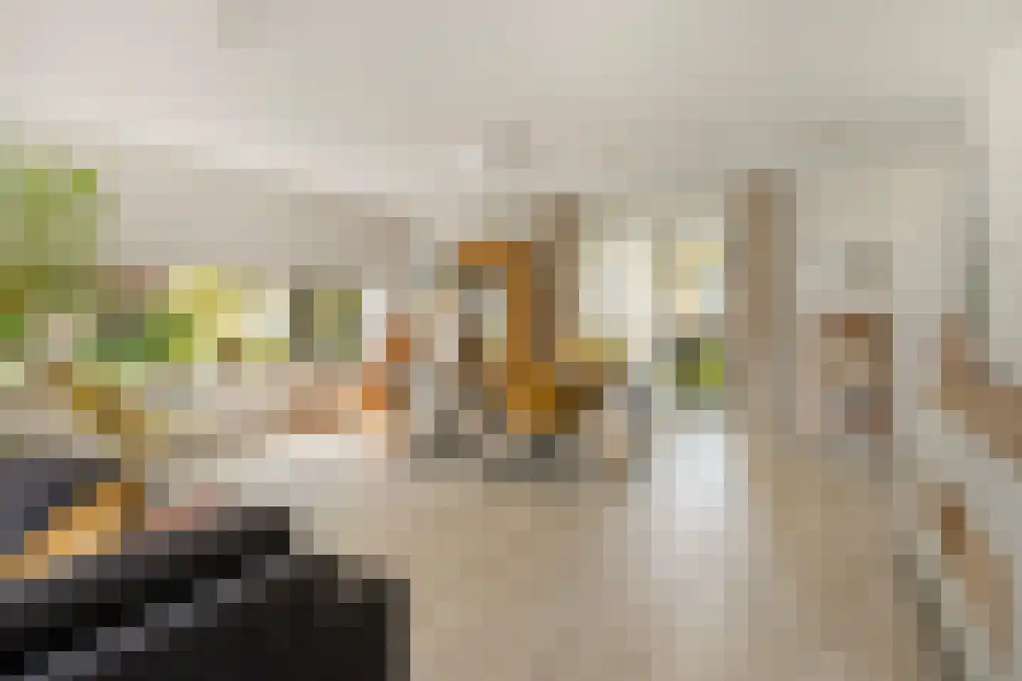 Nieuwstraat 14 01 Goes thumbnail 22