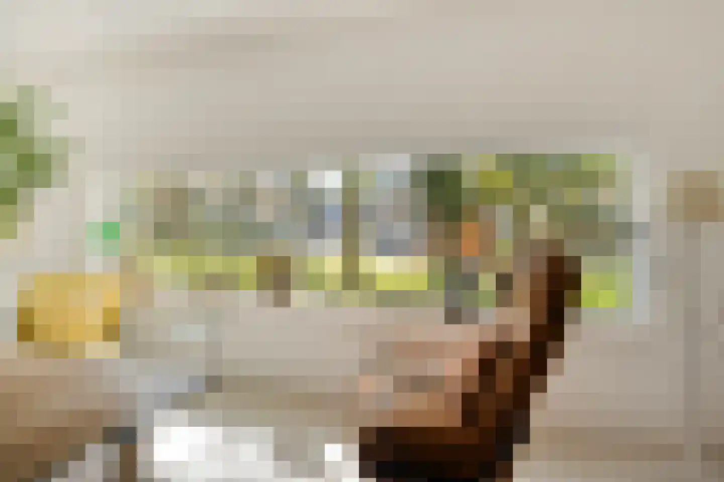 Nieuwstraat 14 01 Goes thumbnail 23