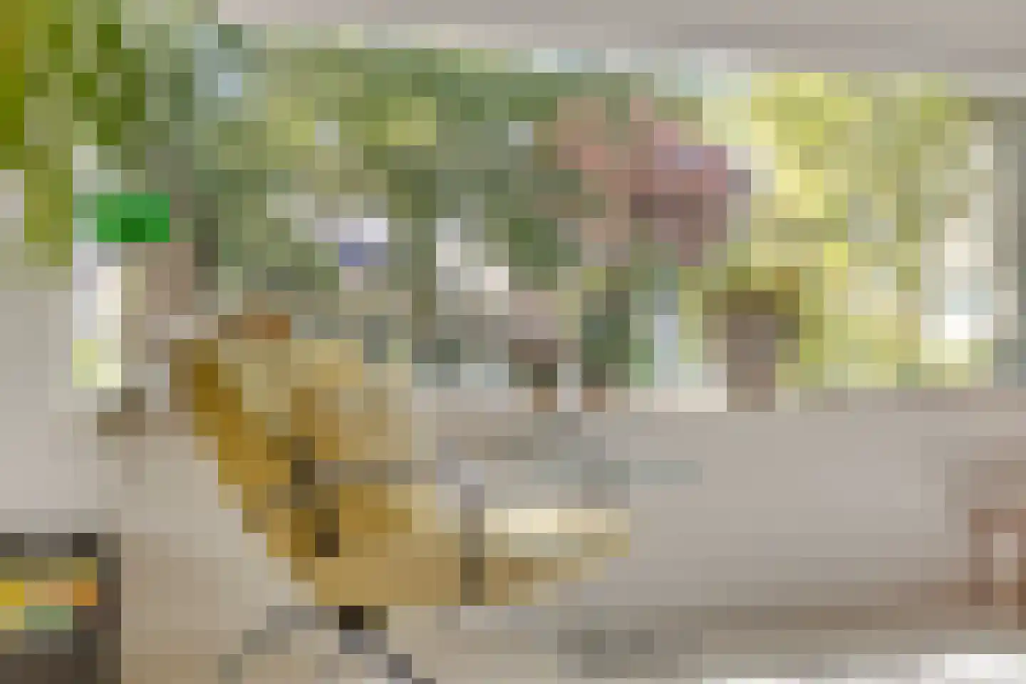 Nieuwstraat 14 01 Goes thumbnail 24