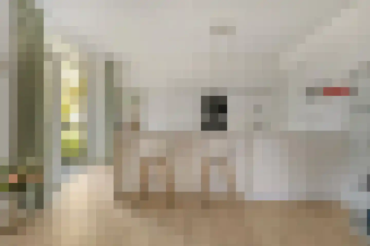 Nieuwstraat 14 01 Goes thumbnail 25