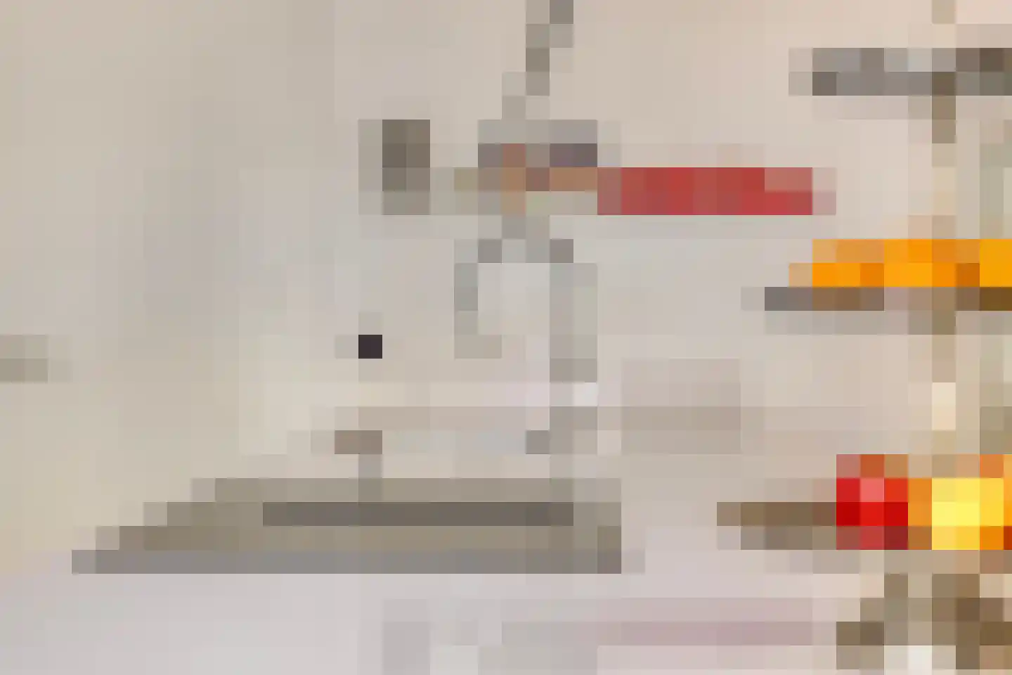 Nieuwstraat 14 01 Goes thumbnail 29