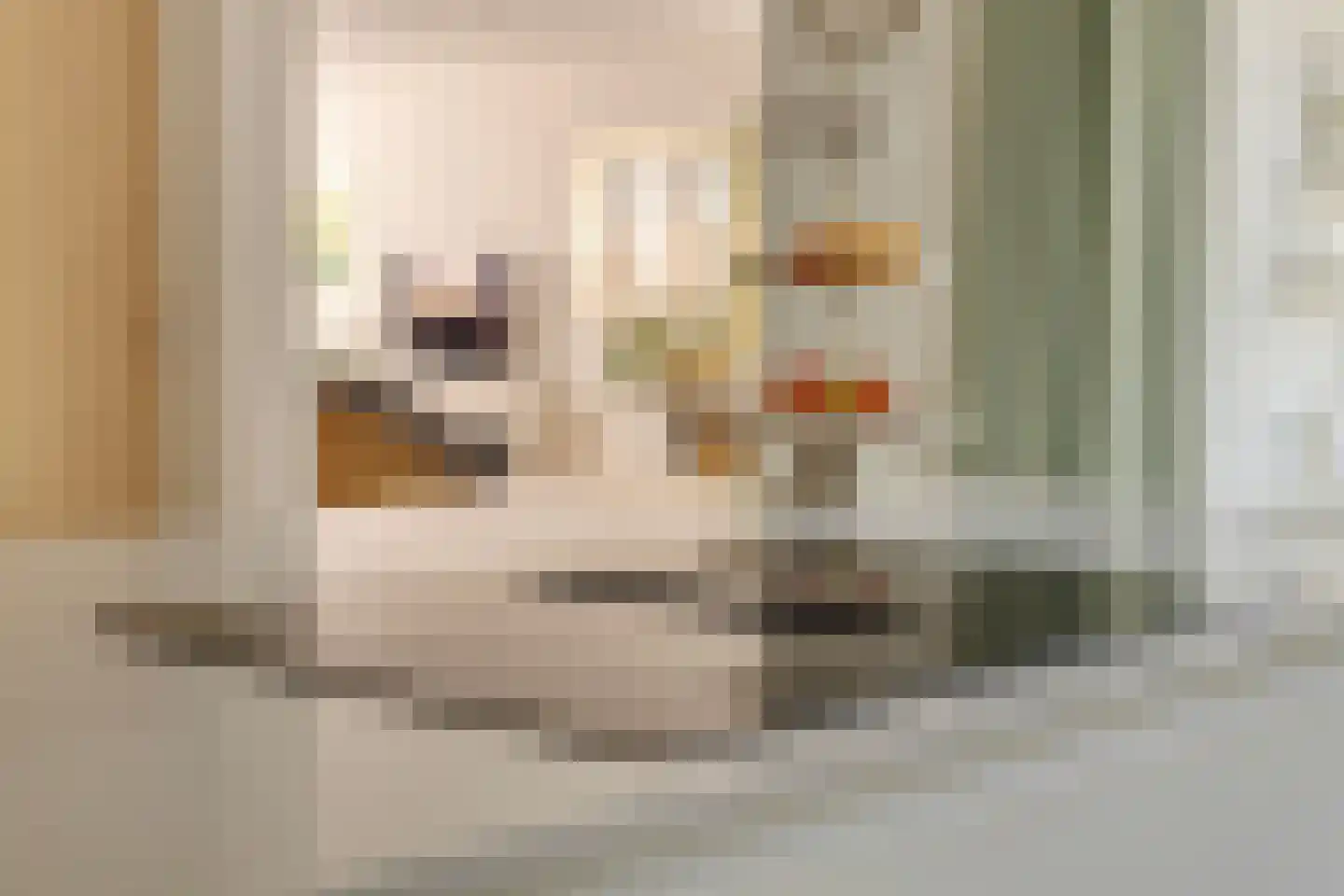 Nieuwstraat 14 01 Goes thumbnail 31