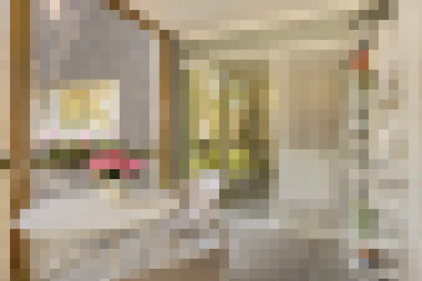Nieuwstraat 14 01 Goes thumbnail 34