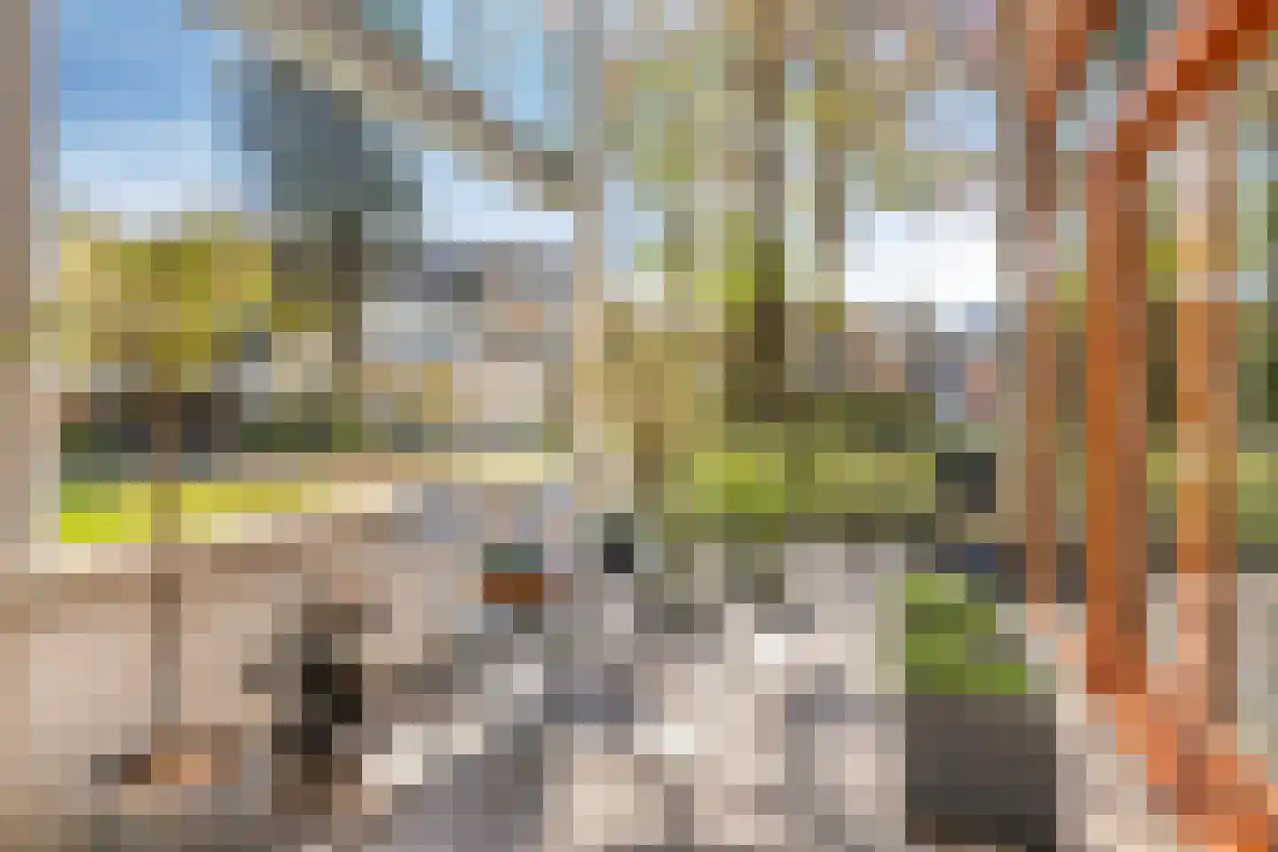 Nieuwstraat 14 01 Goes thumbnail 45