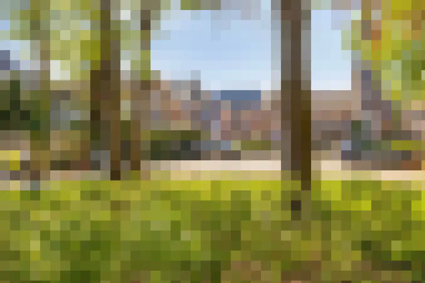 Nieuwstraat 14 01 Goes thumbnail 53