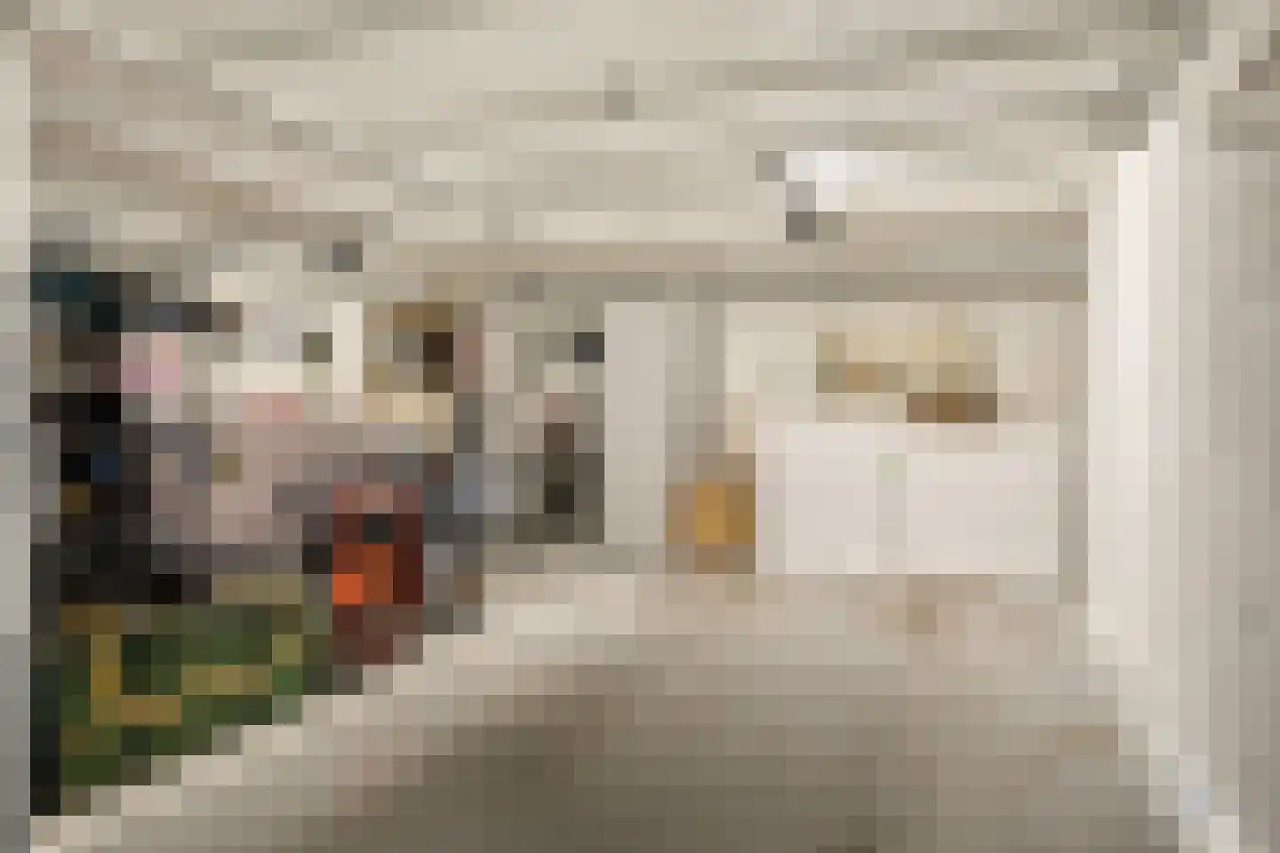 Nieuwstraat 14 01 Goes thumbnail 59