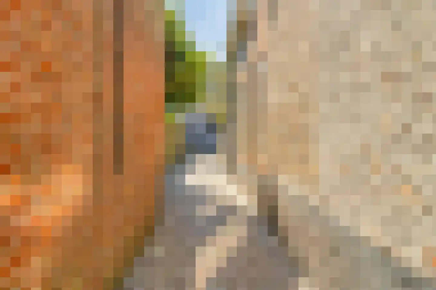 Nieuwstraat 14 01 Goes thumbnail 64