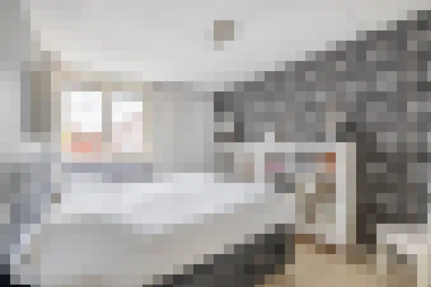 Nieuwstraat 14 A Lisse thumbnail 20