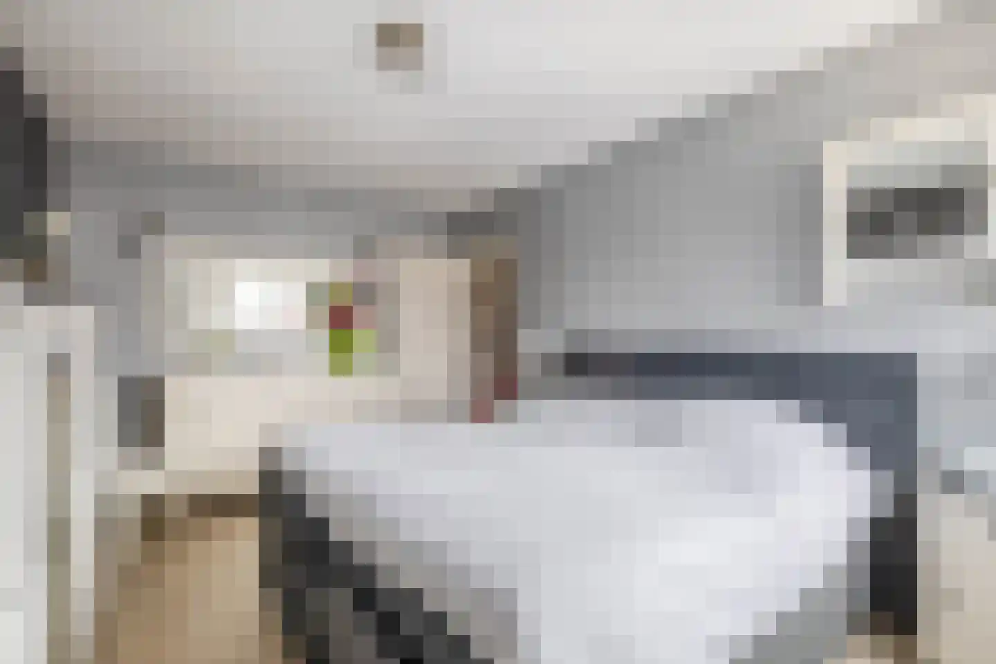 Nieuwstraat 14 A Lisse thumbnail 21
