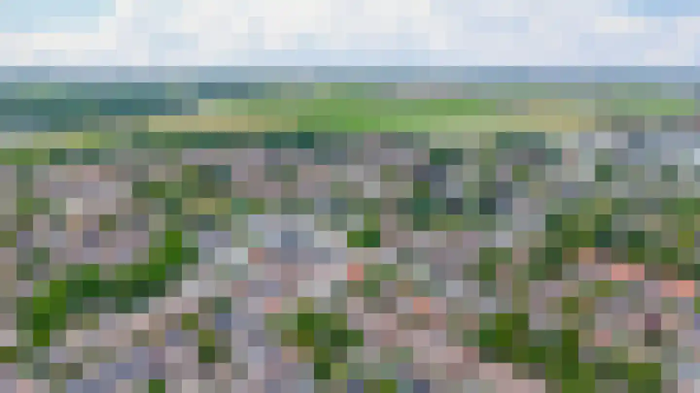 Nieuwstraat 14 A Lisse thumbnail 47