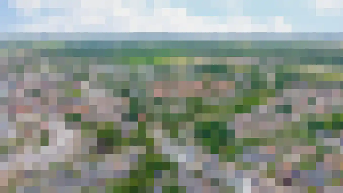 Nieuwstraat 14 A Lisse thumbnail 48