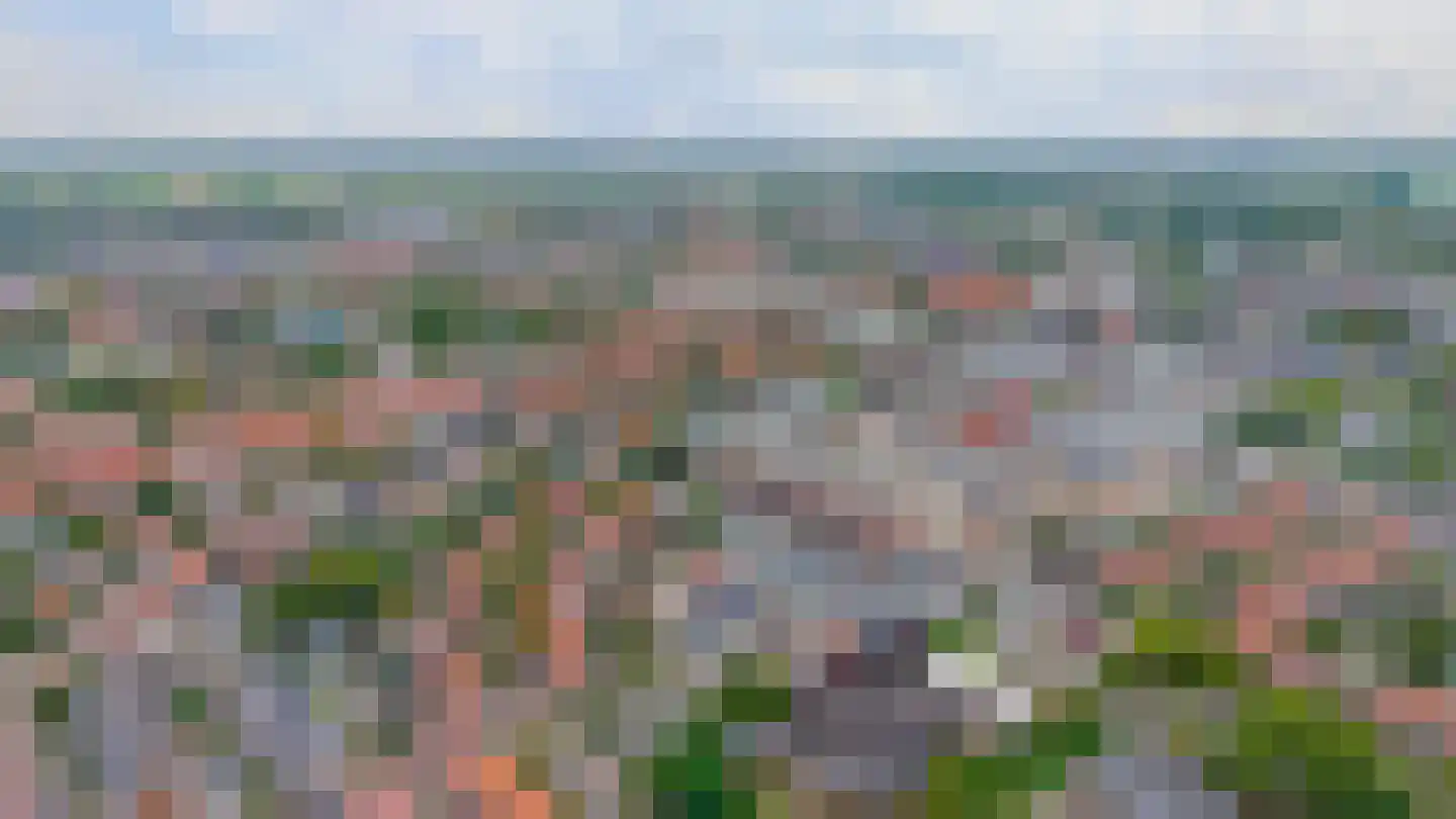 Nieuwstraat 14 A Lisse thumbnail 49