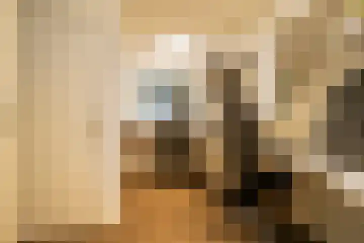 Nieuwstraat 14 Hasselt thumbnail 21