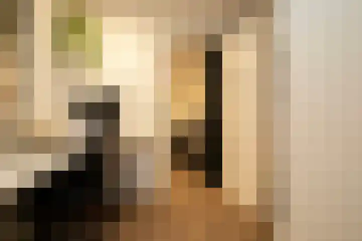Nieuwstraat 14 Hasselt thumbnail 22