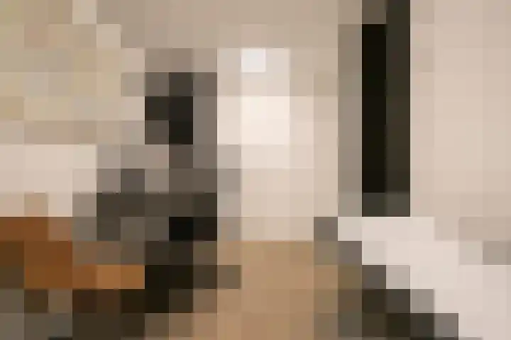 Nieuwstraat 14 Hasselt thumbnail 23