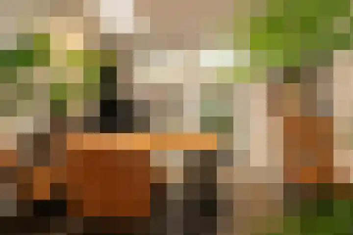 Nieuwstraat 14 Hasselt thumbnail 33
