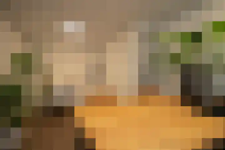 Nieuwstraat 14 Hasselt thumbnail 36