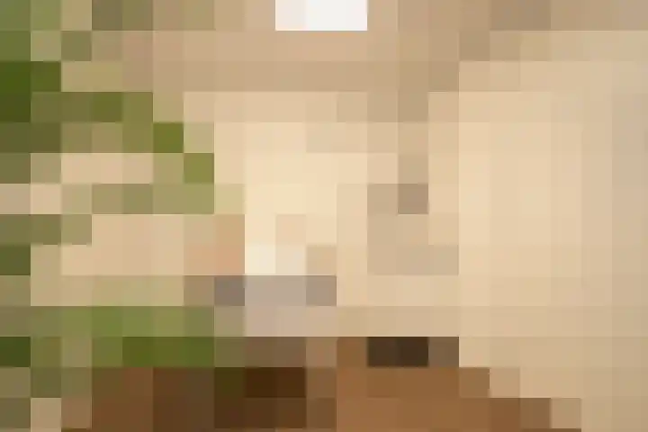 Nieuwstraat 14 Hasselt thumbnail 37