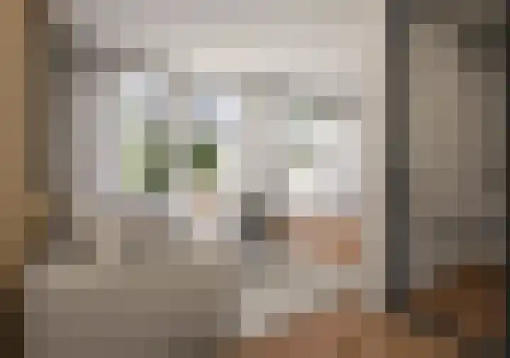 Nieuwstraat 14 Hasselt thumbnail 4