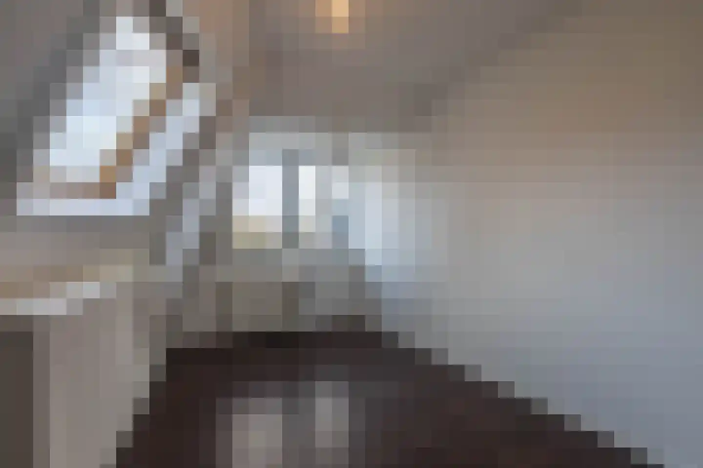 Nieuwstraat 14 Hoorn thumbnail 17