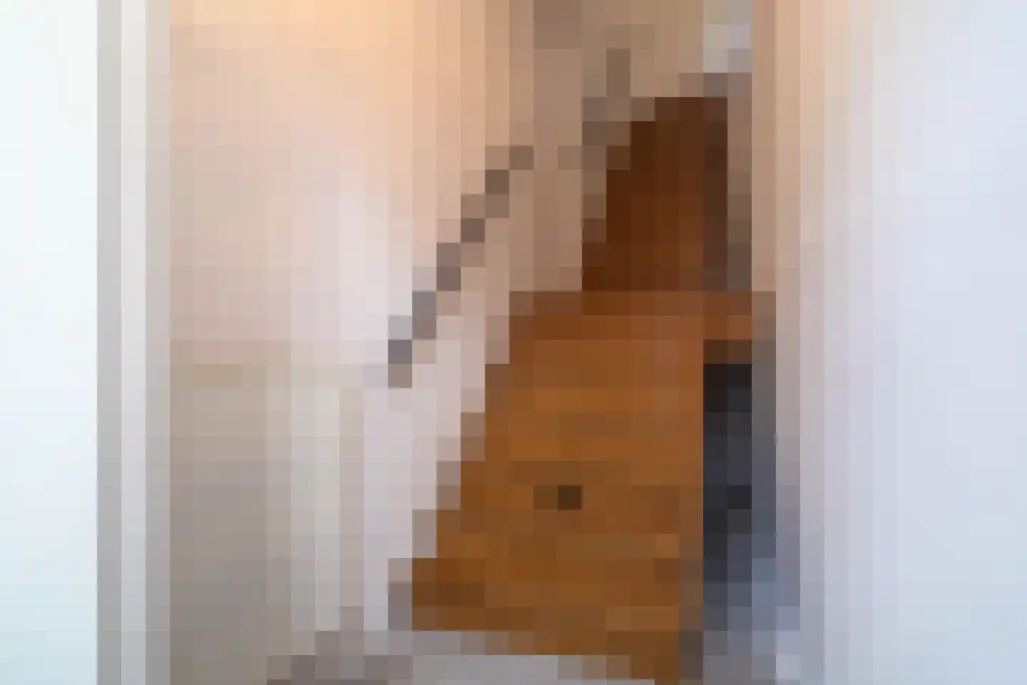 Nieuwstraat 14 Hoorn thumbnail 4