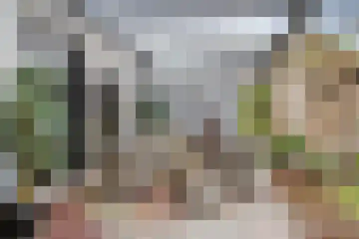 Nieuwstraat 14 Lieshout thumbnail 19