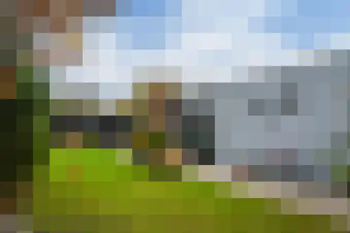 Nieuwstraat 14 Lieshout thumbnail 20