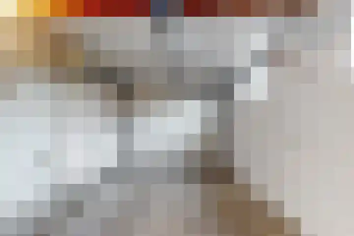 Nieuwstraat 14 Maasbracht thumbnail 14
