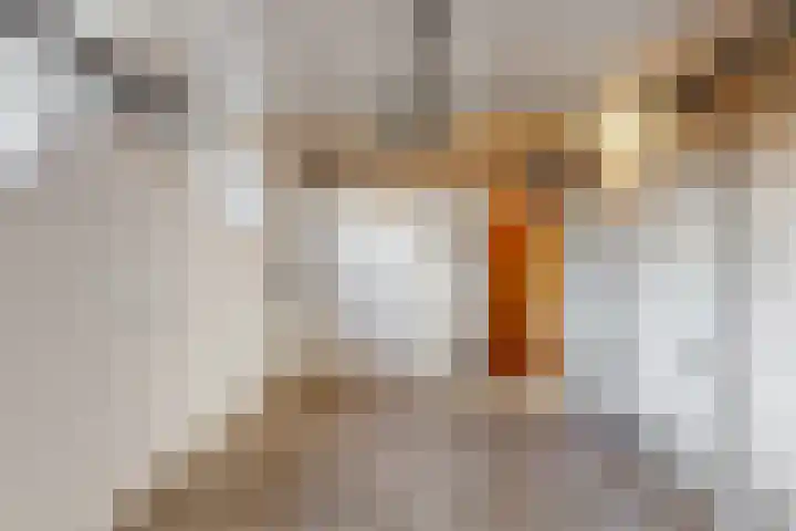 Nieuwstraat 14 Maasbracht thumbnail 15