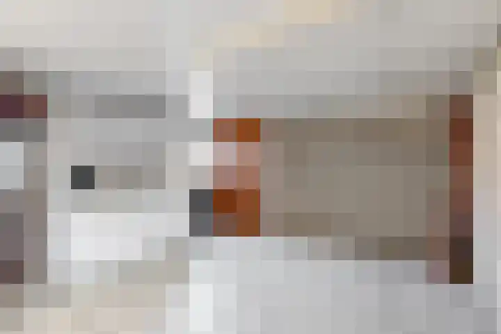 Nieuwstraat 14 Maasbracht thumbnail 17