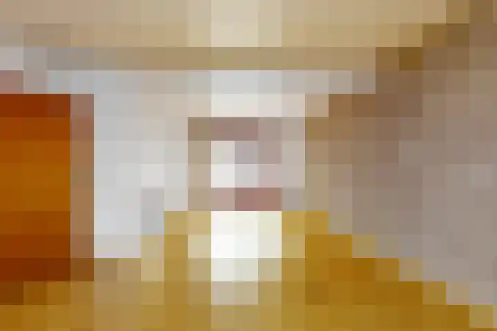 Nieuwstraat 14 Maasbracht thumbnail 8