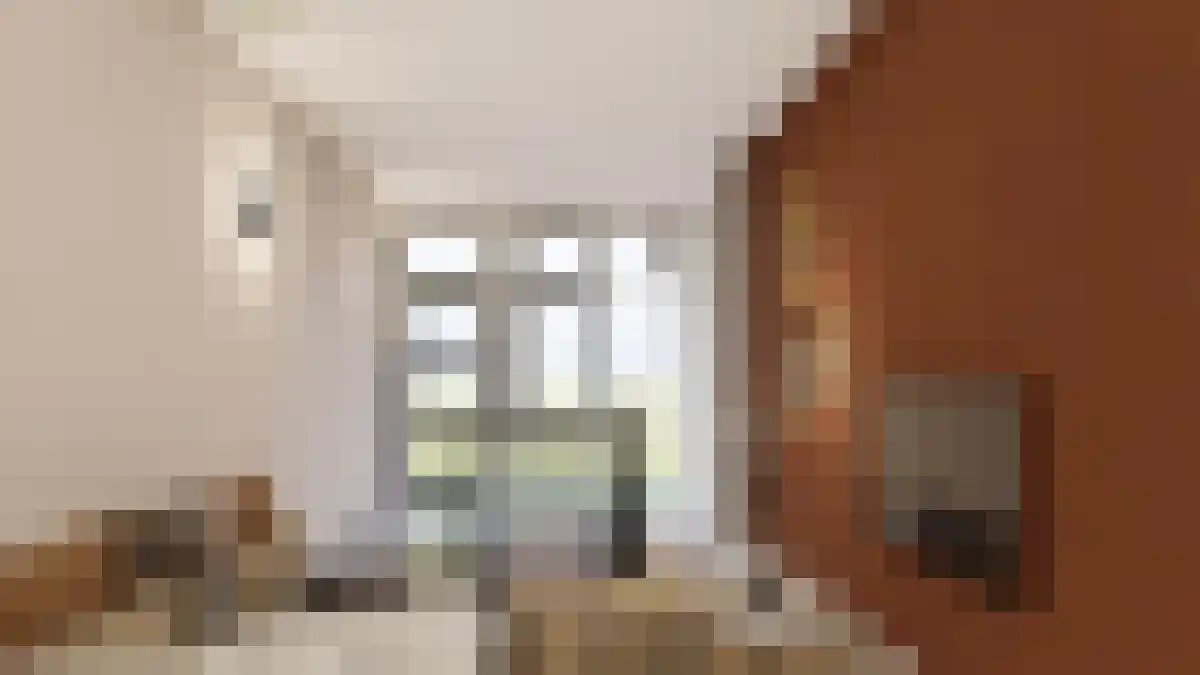 Nieuwstraat 141 Apeldoorn thumbnail 5