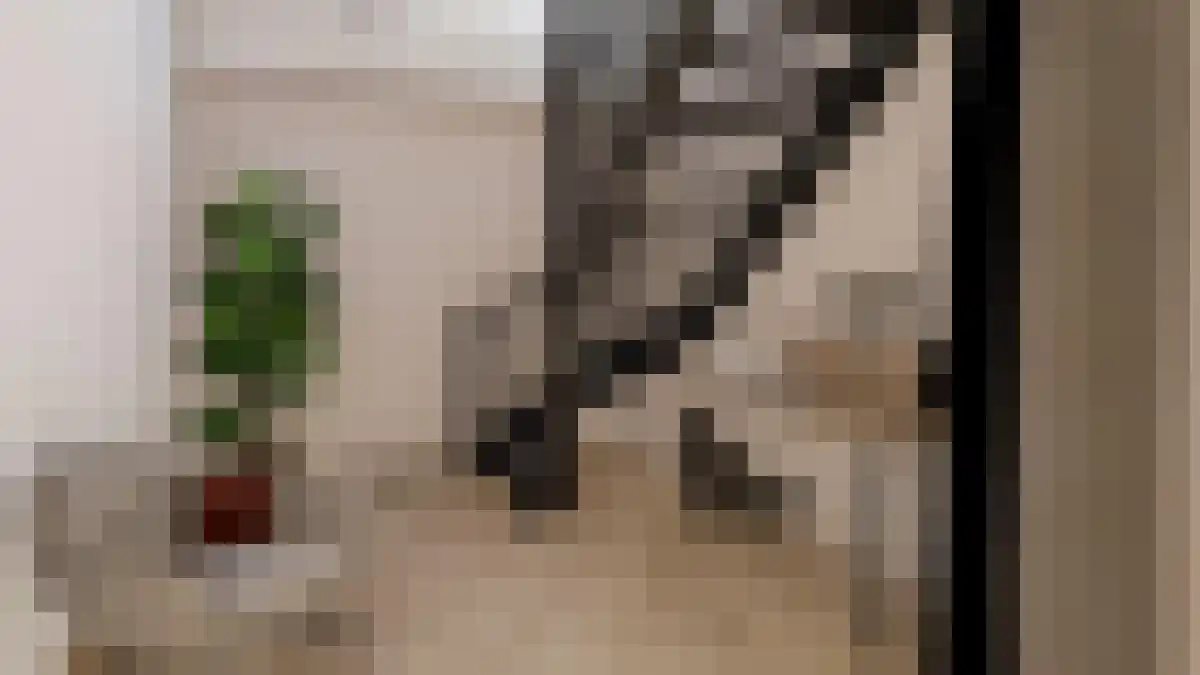 Nieuwstraat 141 Apeldoorn thumbnail 6