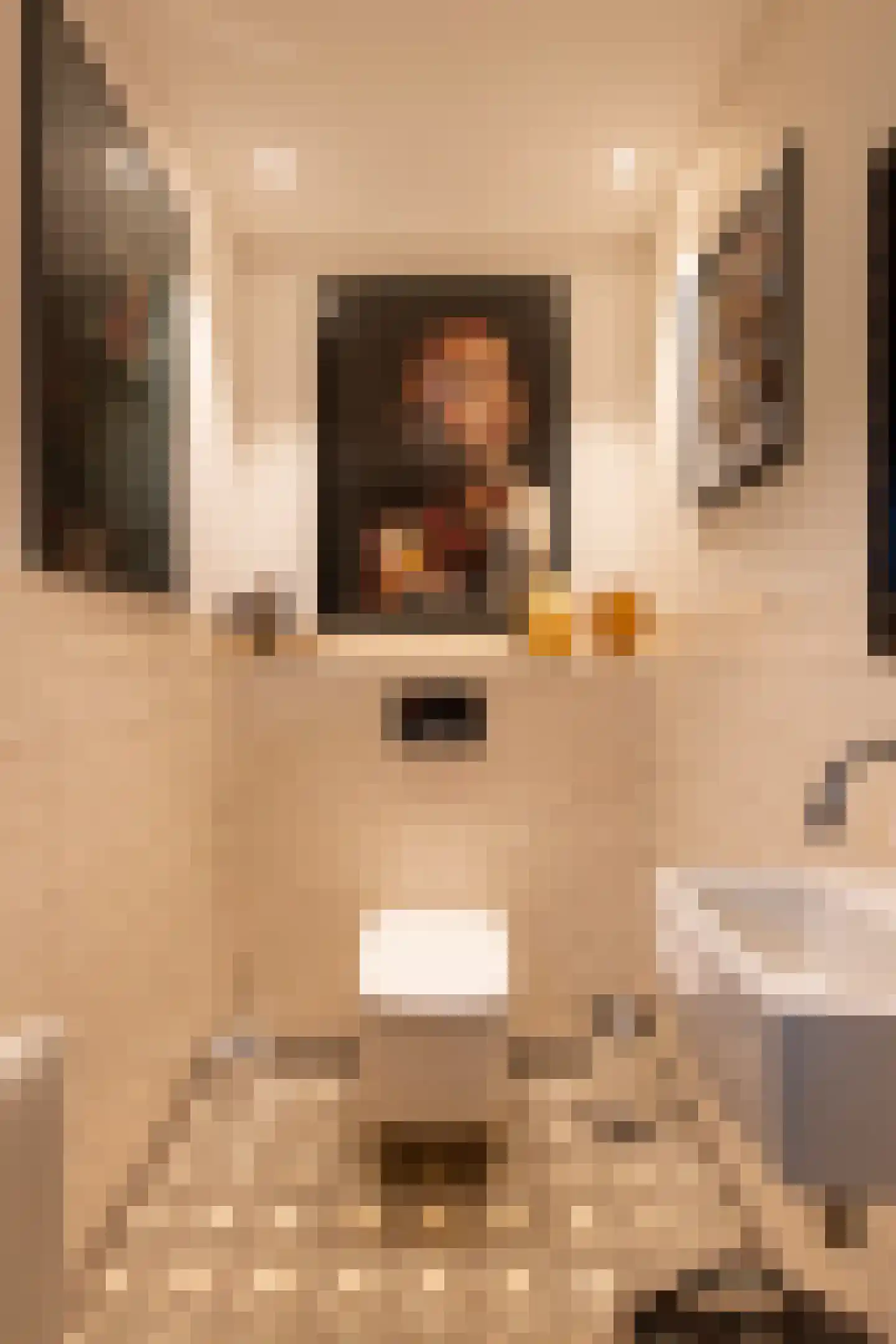Nieuwstraat 147 Gilze thumbnail 10