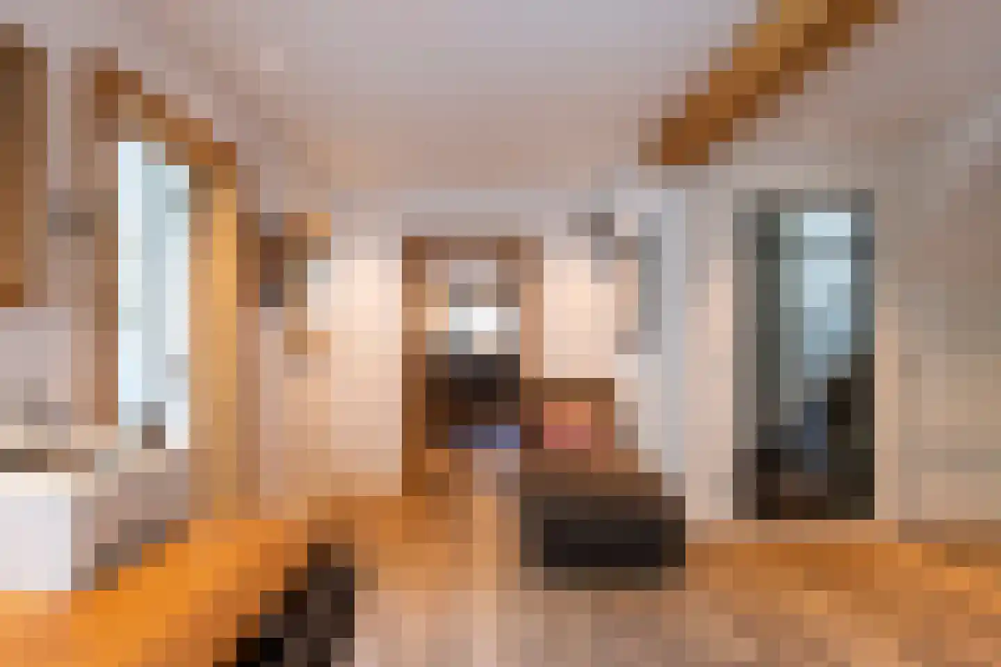 Nieuwstraat 147 Gilze thumbnail 17