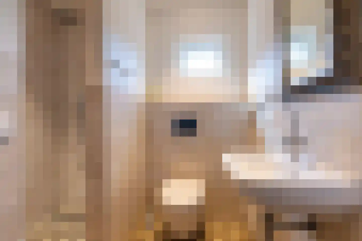 Nieuwstraat 147 Gilze thumbnail 18