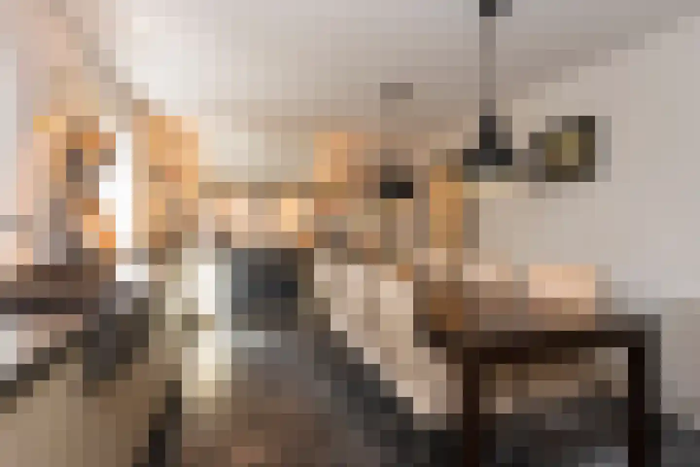 Nieuwstraat 147 Gilze thumbnail 19