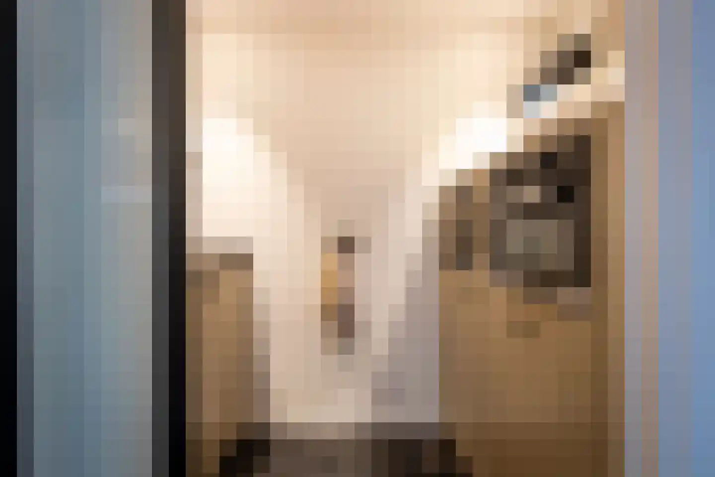 Nieuwstraat 147 Gilze thumbnail 20