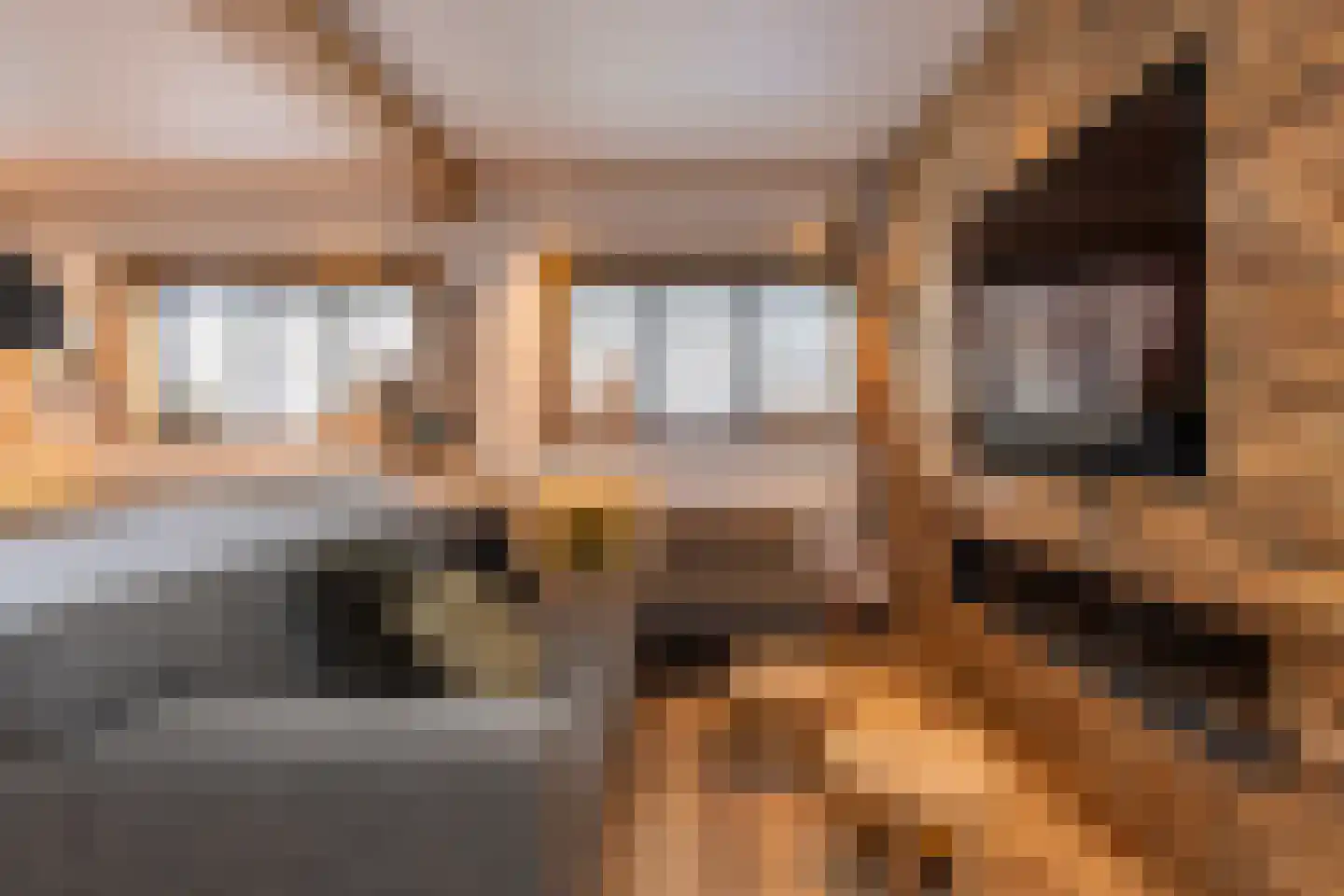 Nieuwstraat 147 Gilze thumbnail 23